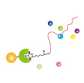 RNA pull down