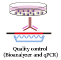 DRIP-seq