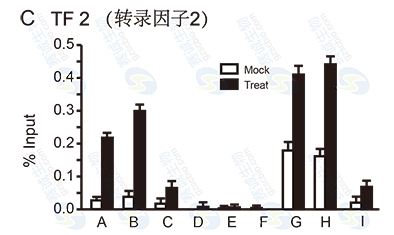 ChIP model figure C