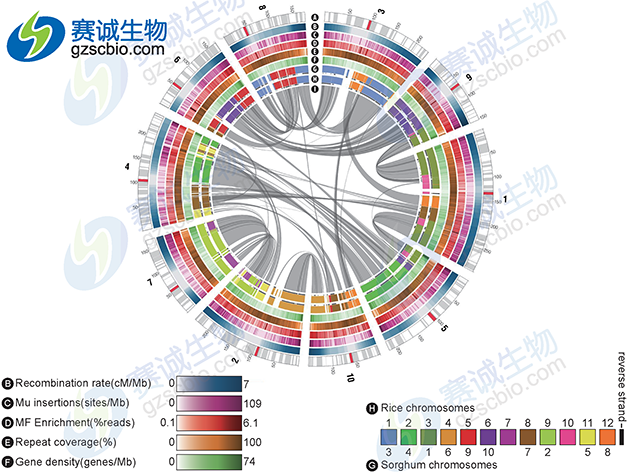 生物信息学分析基因