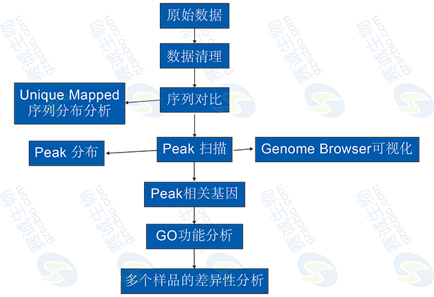 ChIP-Seq分析流程