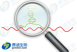 2.1 lncRNA的研究背景及本章题图.png