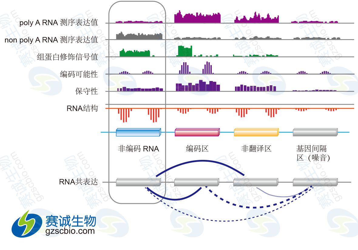 利用数据整合对lncRNA进行鉴定.png