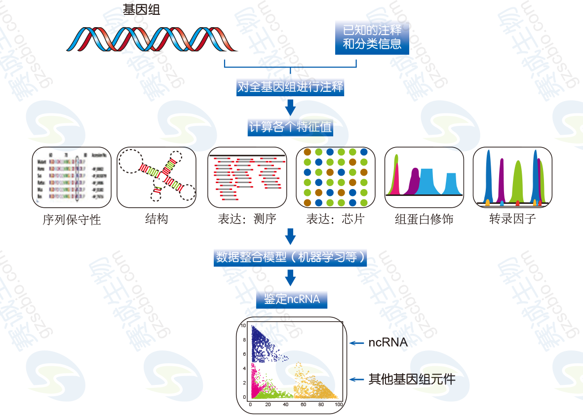 lncRNA综合分析方法流程示例.png