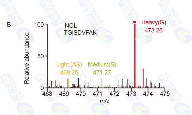 RNA Pull-down model figure B.png