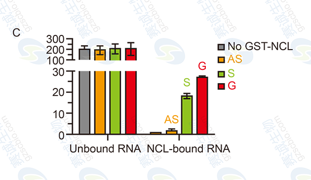 RNA Pull-down model figure C.png