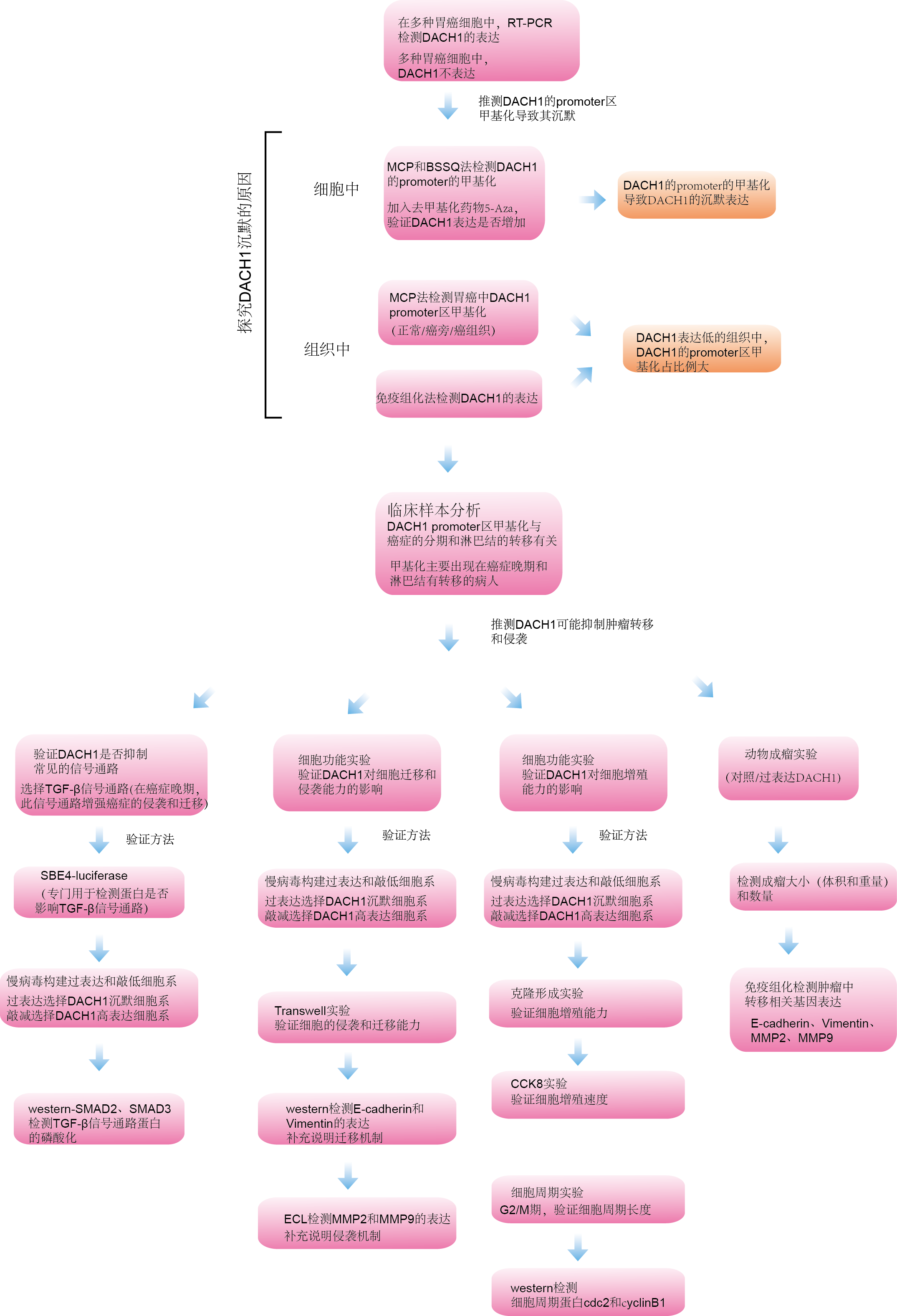 1466648105620004059.png 1466648105620004059.png