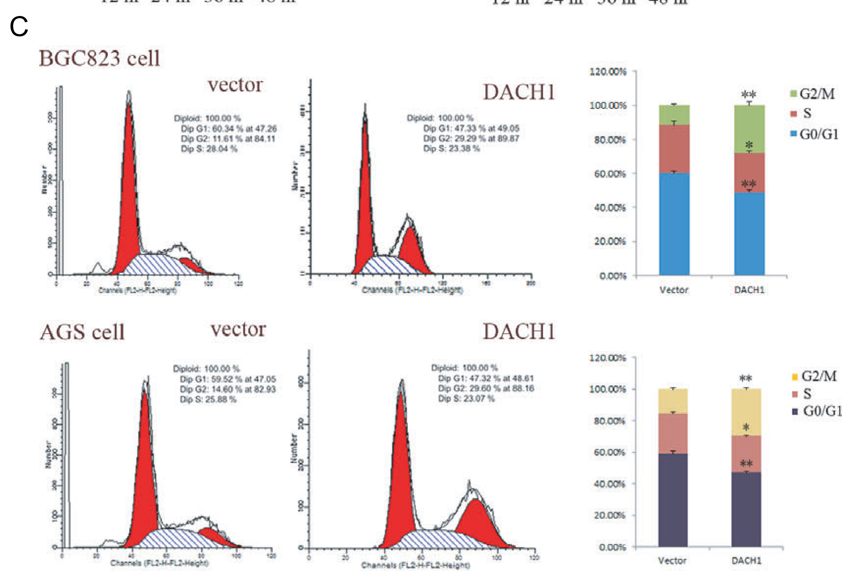 1466648562491062724.png 1466648562491062724.png