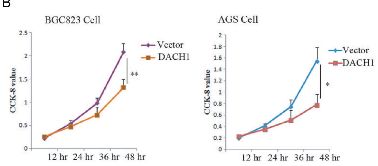 1466648768312063445.png 1466648768312063445.png