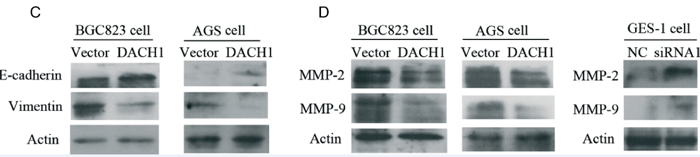 1466649036134025619.png 1466649036134025619.png