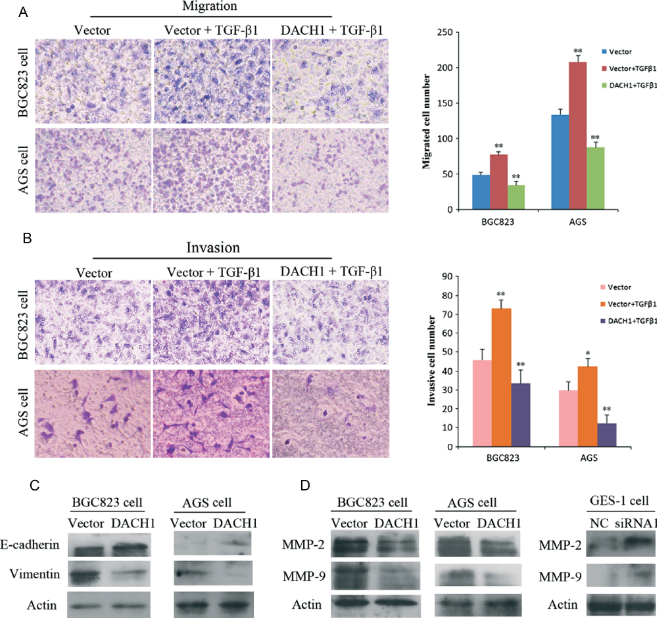 1466649109958089497.png 1466649109958089497.png