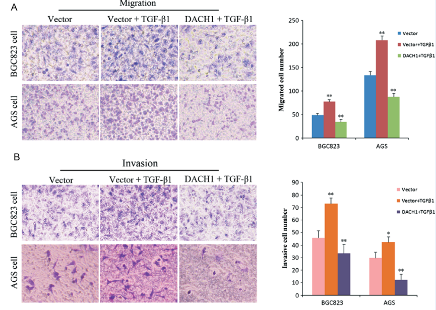 1466649139564068829.png 1466649139564068829.png