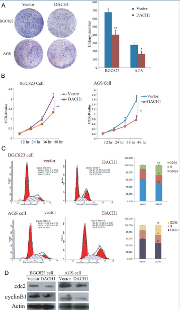 1466649200820093095.png 1466649200820093095.png