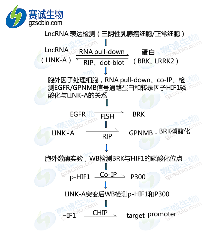 流程图.png