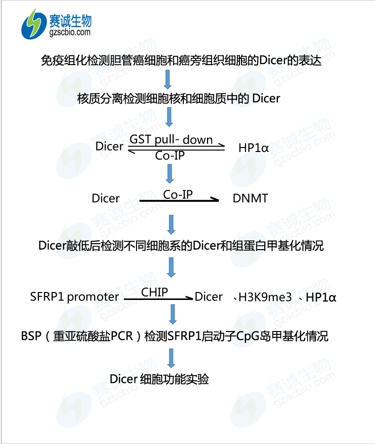 甲基化3 流程图.png