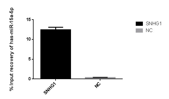 RNA-RNA pull-down q-pcr结果图.png.jpg