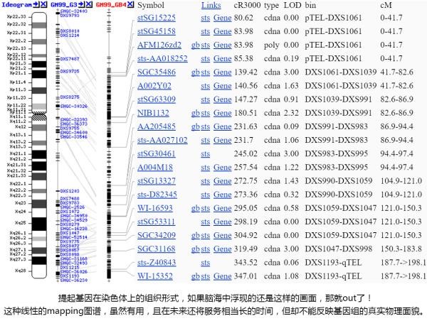 3D基因组学1.jpg