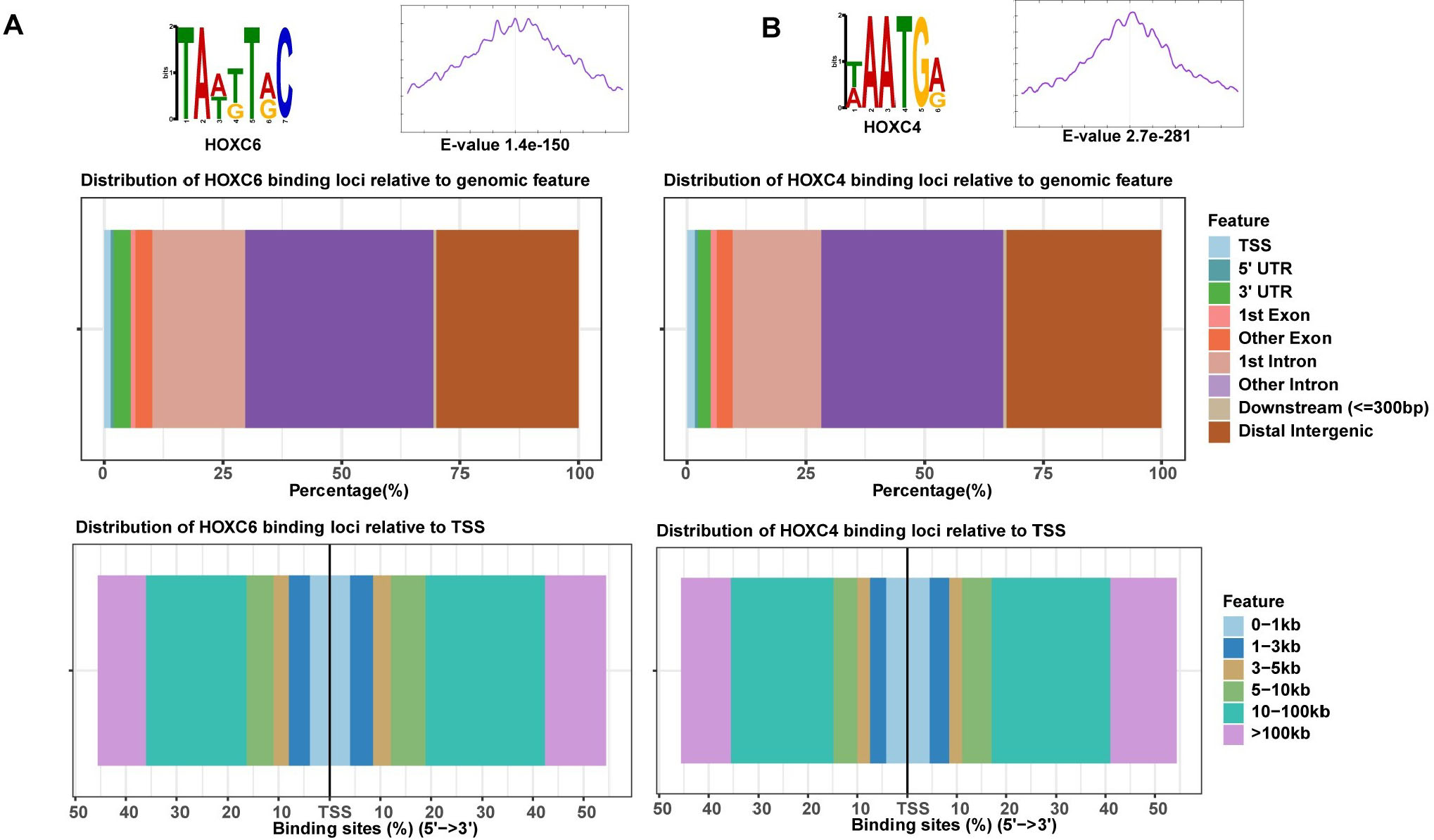 figure 2.jpg