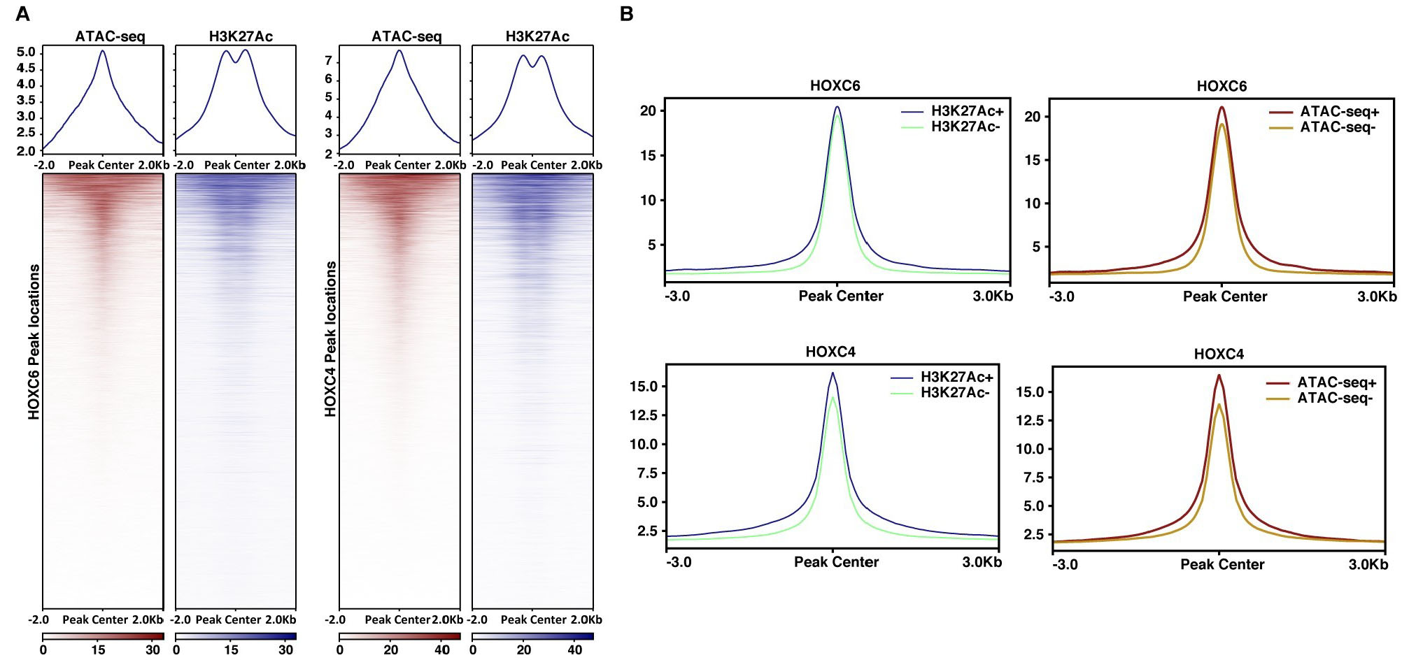 figure 3.jpg