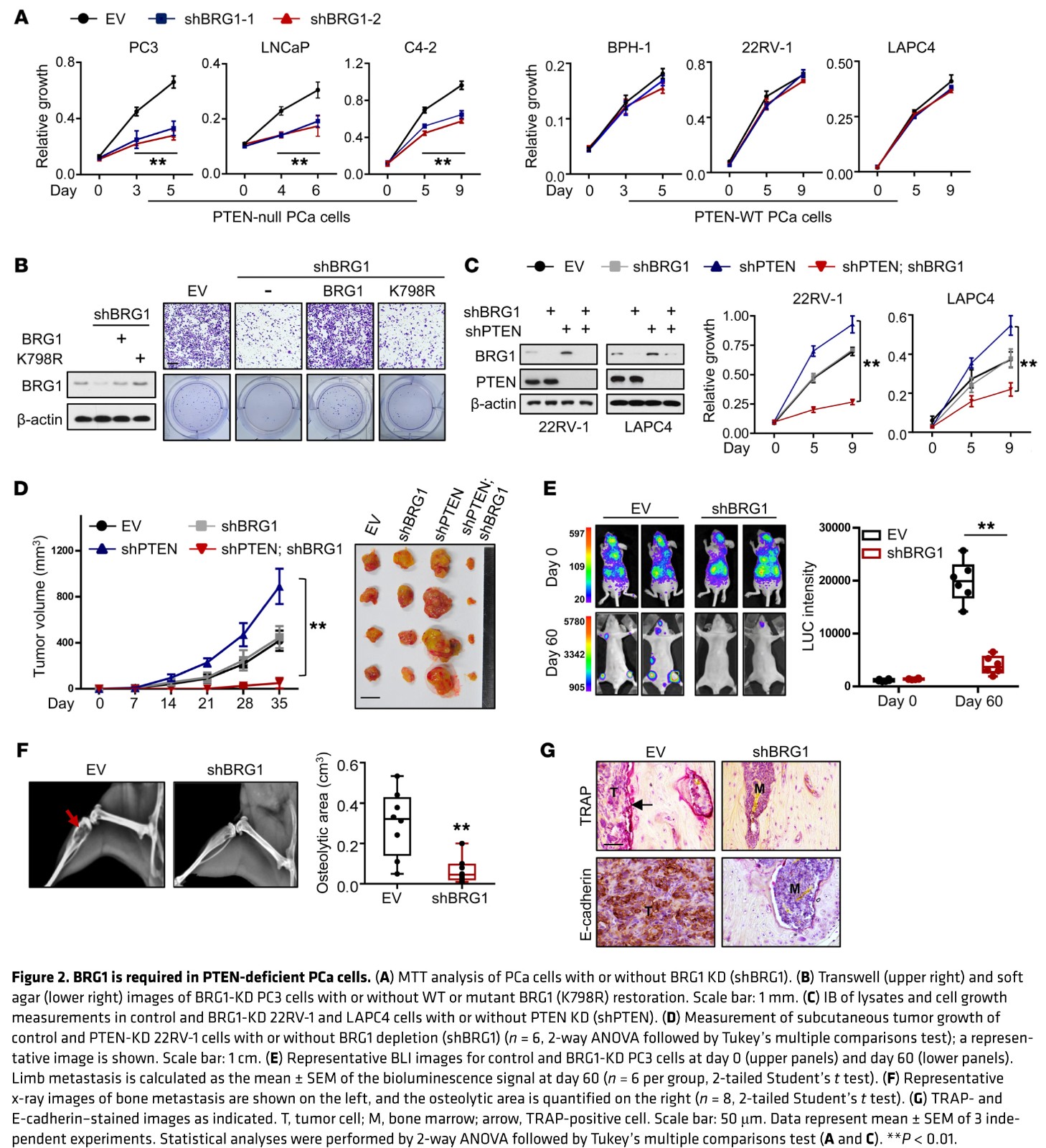 fig 2.jpg