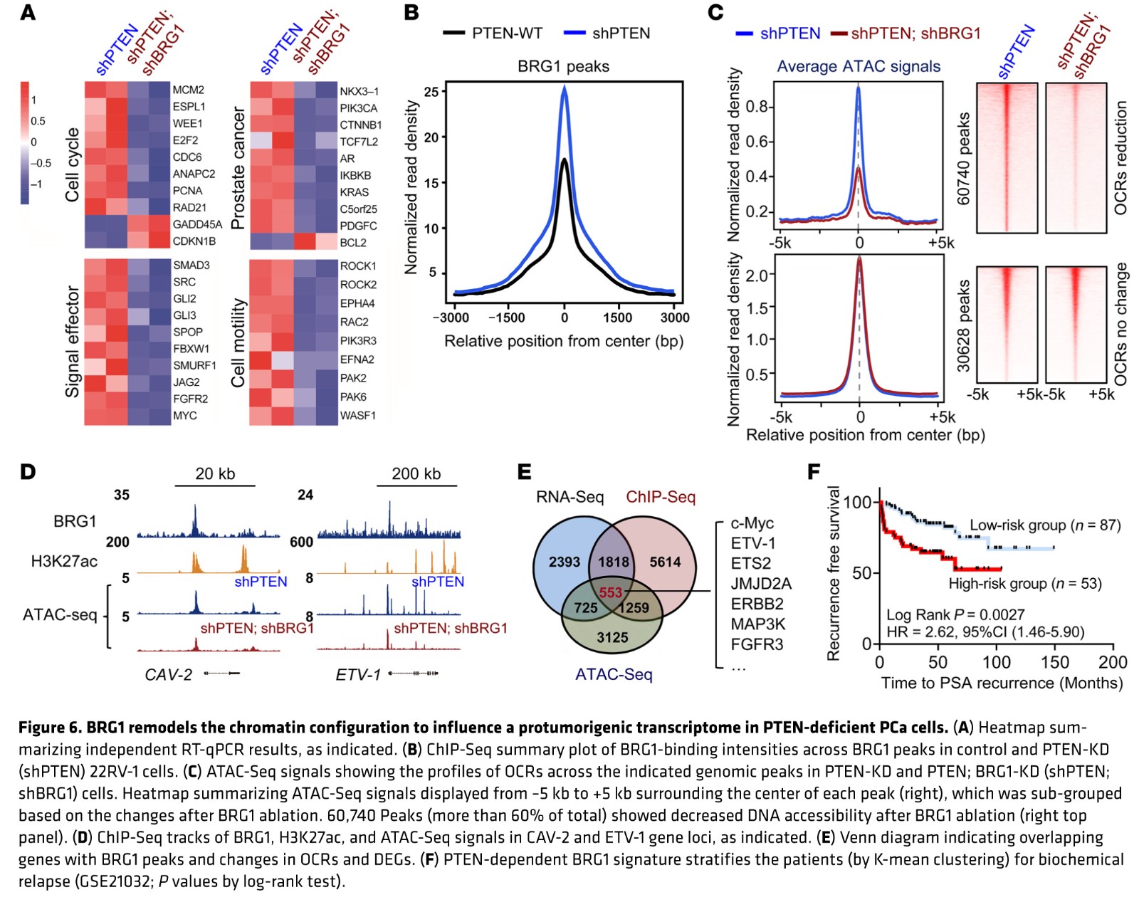 fig 6.jpg